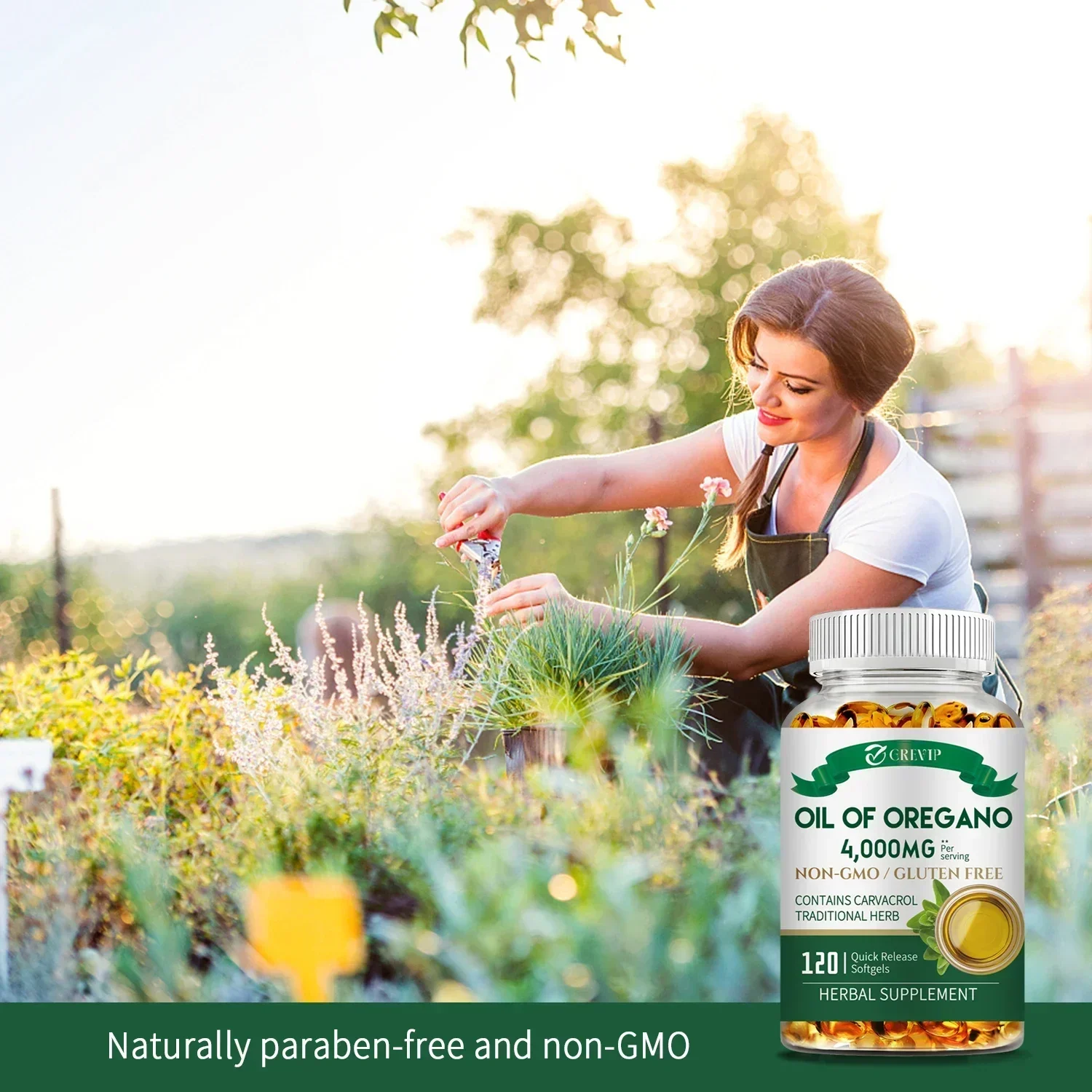Oil of Oregano For Immune Kidney Health Anti inflammatory Relieves Bloating