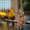 Parrot Supplies Cage Bite Training Perch Tearing Toy String Bird Chewing Toy for Parakeets Lovebird Budgie Cockatoos Conures 2