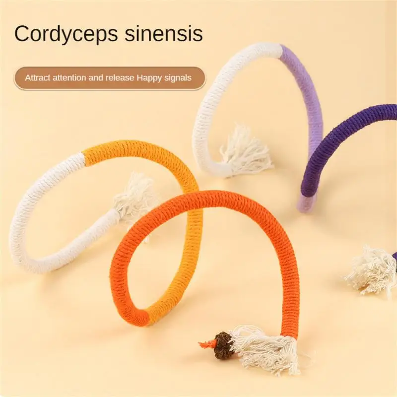 

Molar Toy Rich And Colorful Interactive Relieve Boredom Mint Scent Interesting Cat Entertainment Ease The Boredom Of Cats Lovely