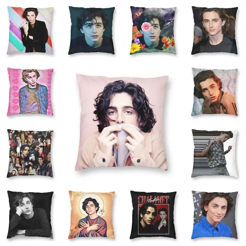 

Nordic Style Funny Timothee Chalamet Square Pillow Cover Home Decor Cushions Throw Pillow for Living Room Double-sided Printing