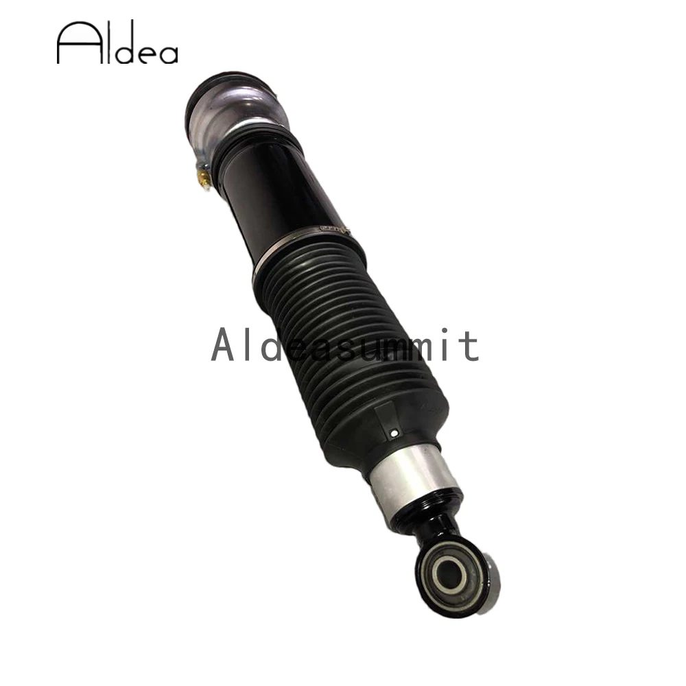 Рисунок 5 - Пара задних амортизаторов L &