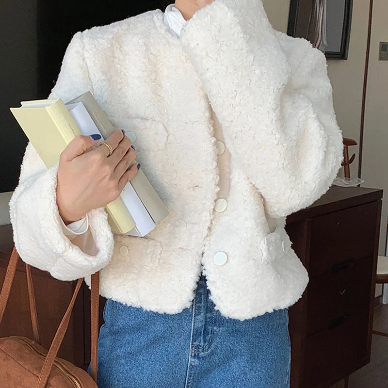 Korea Chic Autumn and Winter Temperament 2023 New Round Neck Single-breasted Loose Thick Warmth Imitation Lamb Fur Coat Women