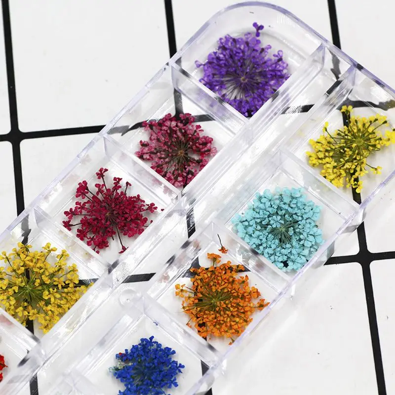 24Pcs Natural Dried Flowers Resin Fillers Epoxy Resin Supplies Real Dried Pressed Flower Jewelry Making Accessory