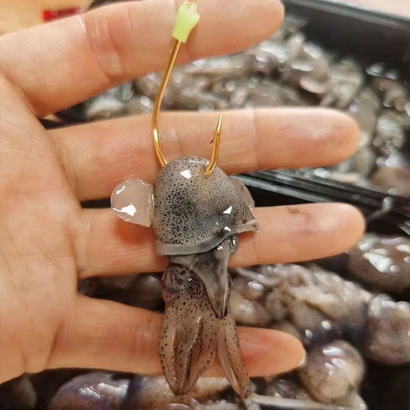 바다낚시 미끼 스럽게 준비된 갑오징어콩 작은 마법콩 블랙헤드 스톤피쉬 미끼 재료 보트낚시 바다생선 대구 오징어 스트립
