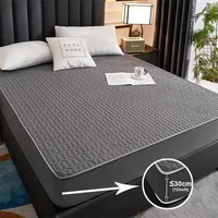 Waterproof Thicken Mattress Pad Protector Adjustable Fitted Sheets Bed Covers Anti-bacterial Pad for Bed 150x200 160x200 200x200 2