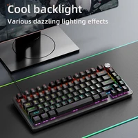 75% Mechanical Keyboard Wired with Media Knob, APAYADO Black Gaming Keyboard,Hot-Swap,ABS Cap Transparent Character Backlighting - Image 2