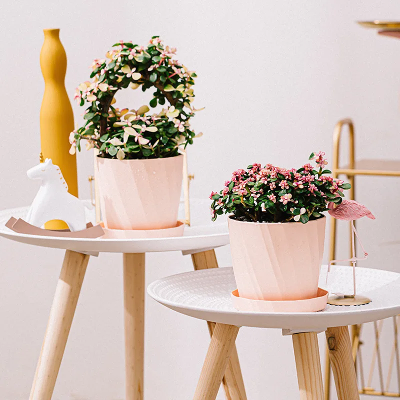 Large Plastic Planter for Succulents & Green Plants