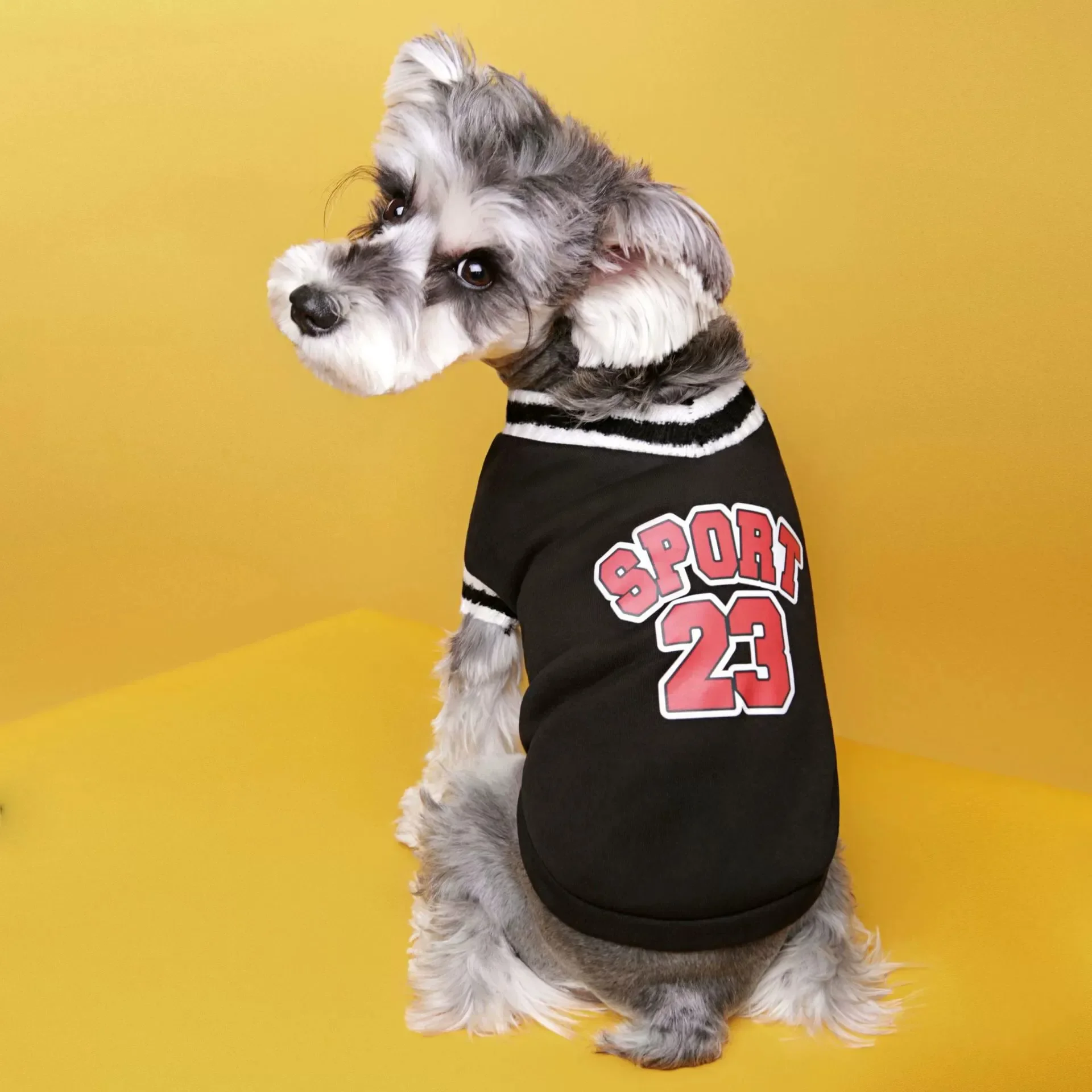 1922-7b39ed.jpg Autumn and Winter Pet Fashion Sweater School Style Dog Clothes Small and Medium Dog Fleece Warm Sweater