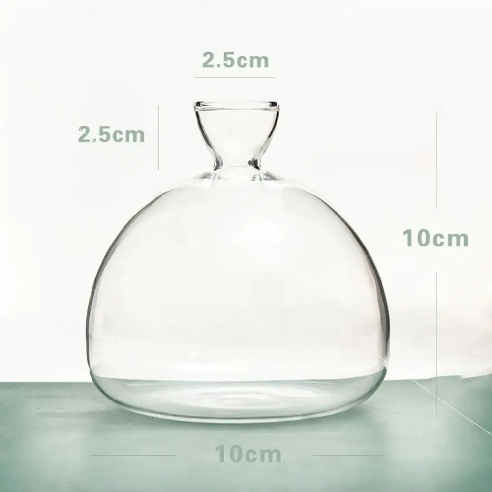 Avocado Hydroponic Vase Simple Transparent Seed Starter Vase Glass Plant Vase Aromatherapy Bottle Seed Growing Kit Gift