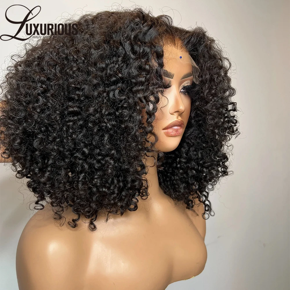 Vietnam Glueless Latin Curly Human Hair Wig Bleached Knots 360 Pre-Cut Lace Wig Wear And Go 13x4Lace Frontal Human Hair 250%