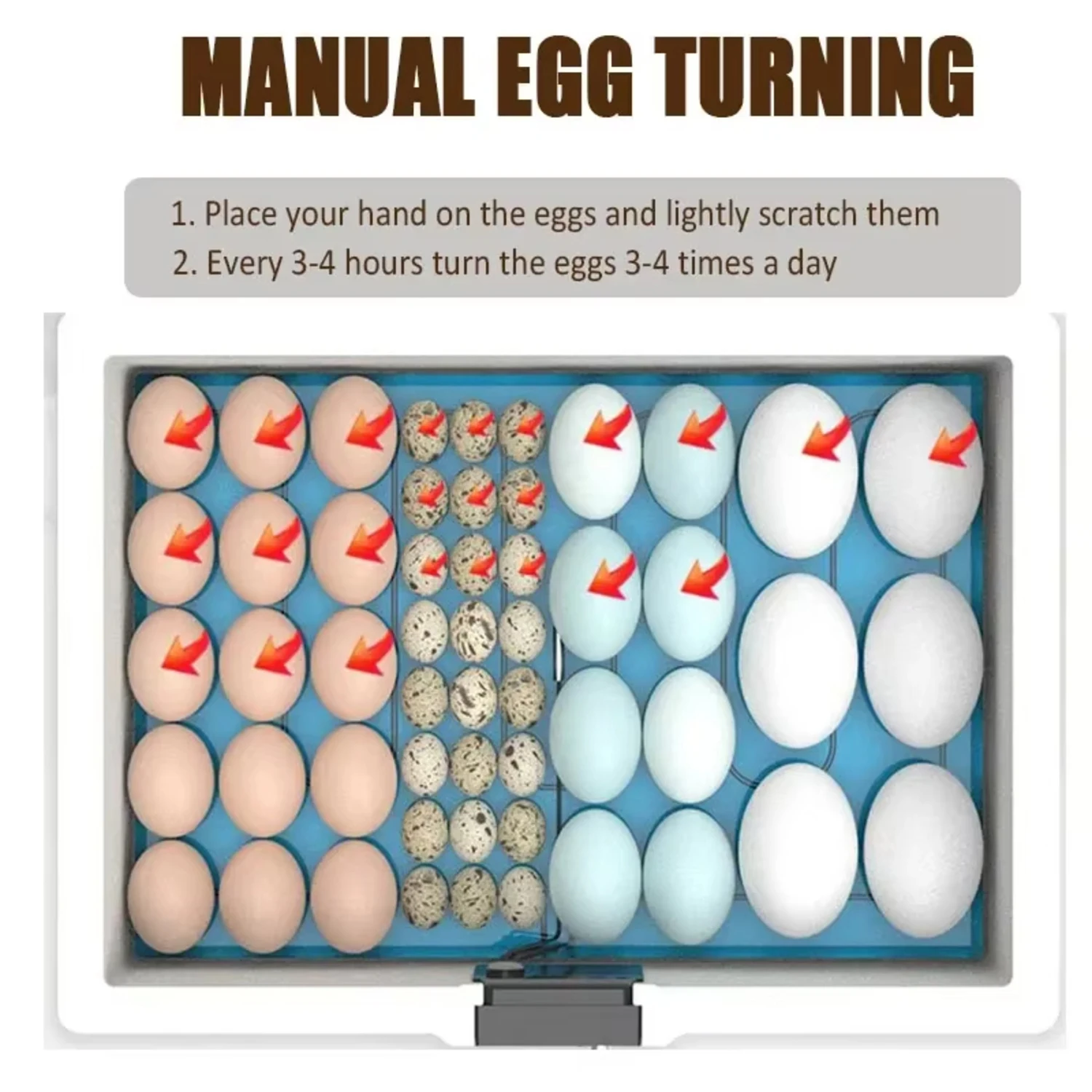 Egg Incubator USB Thermostatic Incubator Manual Turnover Poultry Bionic Waterbed All-in-One Machine