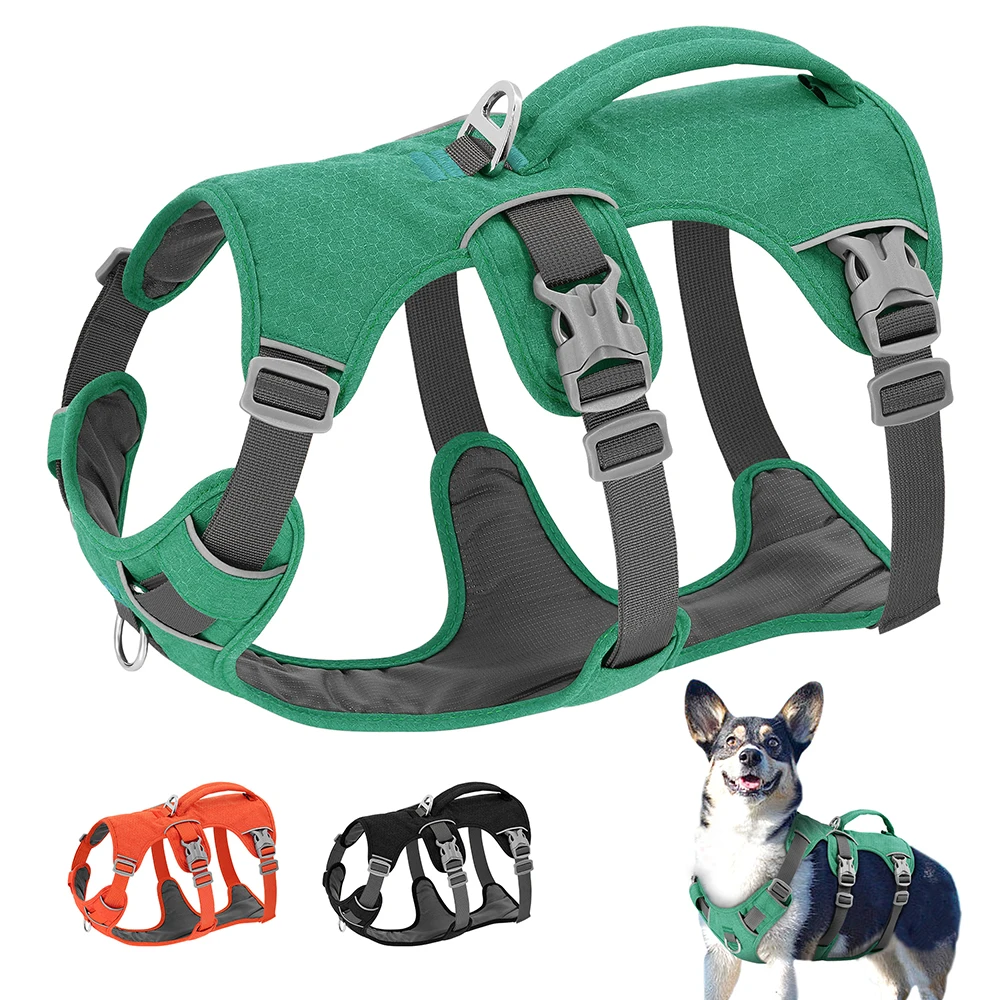 Escape Proof Nylon Dog Harness 1