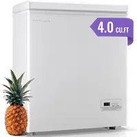 Feet Deep Chest Freezer Freezer with Electronic Display Screen Electronic Thermostat Accurate to Every Degree Adjustable Storage 1