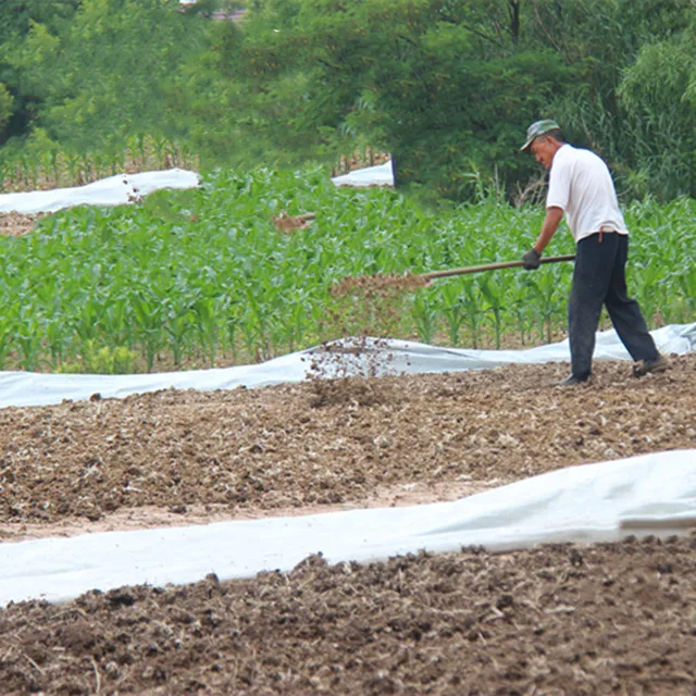 500G! Organic Tiszta Csirke Trágya Erjesztés Szagtalan Alapú Műtrágya Kert Orchidea Bonsai Növényi Ültetés Komposzter - Image 6