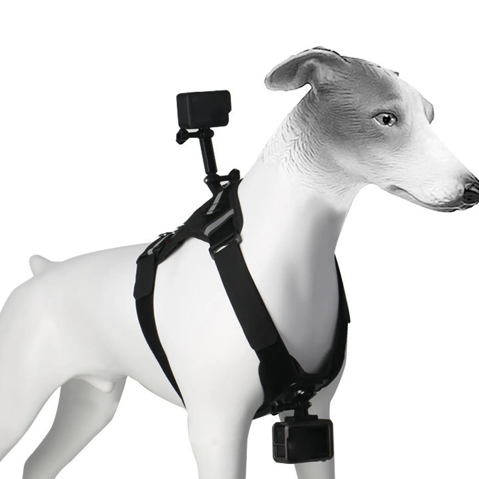 Action Camera Dog Harness Mount Soft Padded Chest and Back