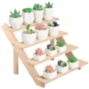 Wooden Display Stand Organizer Wood Riser Display Shelf for Wedding Party Dessert Cupcake Jewelry Collectibles Display Riser 5