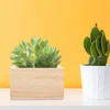 4 Pcs Lidless Storage Boxes Handicraft Wooden Boxes Small Crates Unfinished Wood Crate Jewelry Gift Boxes Containers Display 3