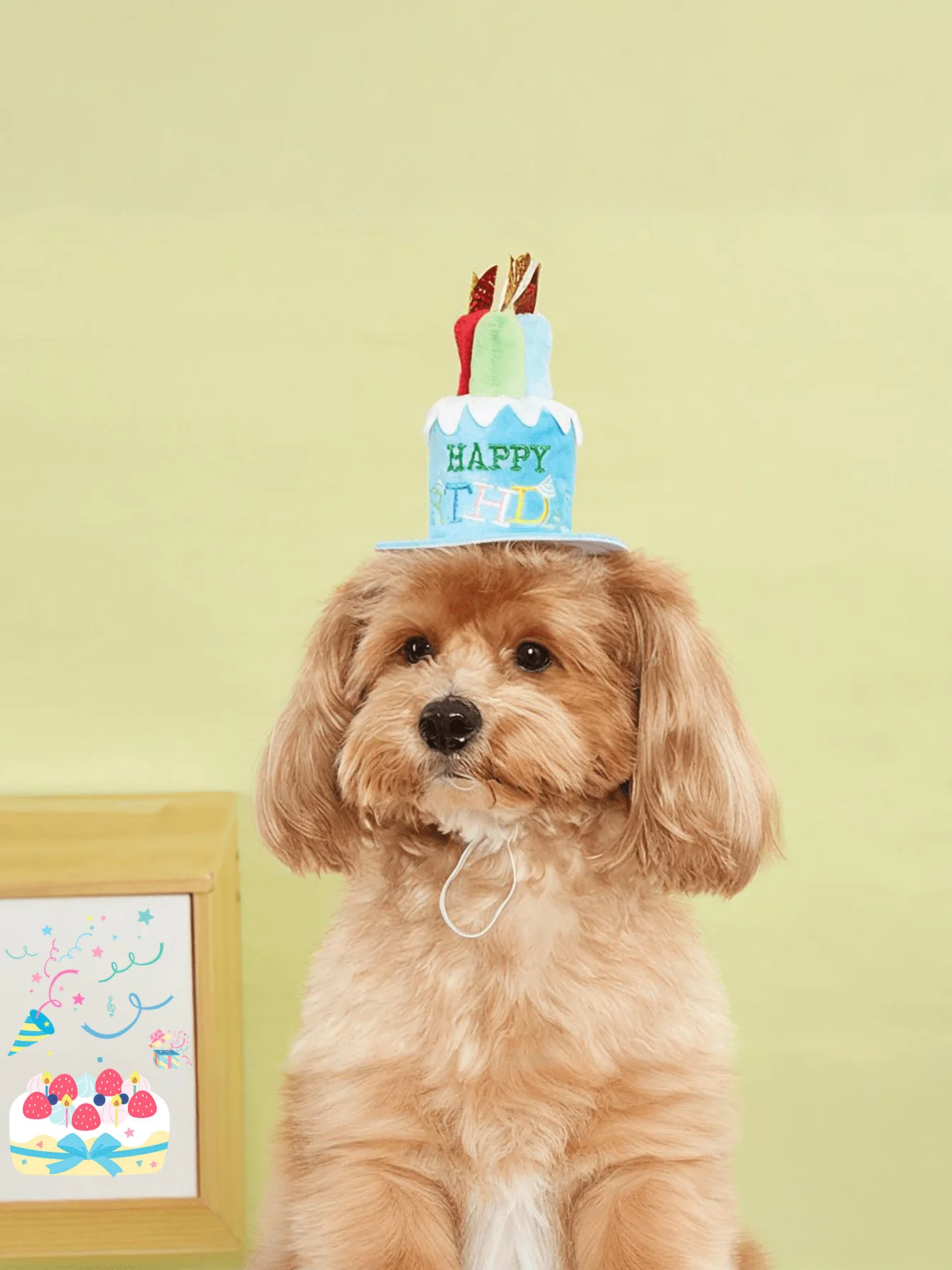 1/2 사이즈 애완동물 생일 모자, 조절 가능한 강아지 모자와 화려한 캔들, 고양이와 강아지 생일 파티 의상