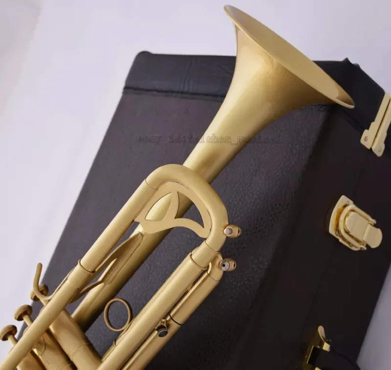 Professional Matt Brushed Bb Trumpet Horn Monel 2-Mouthpiece Leather Case