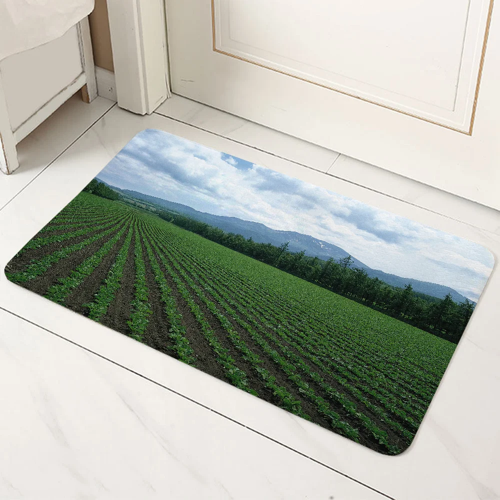 

Things for the Home Accsessories Outdoor Doormat Entrance Door Mat Out Bath Mats Room Decoration Items Kitchen Carpet Customized