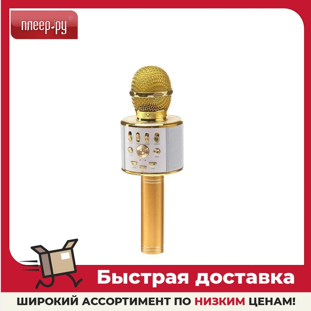 Система караоке Luazon LZZ-70 WS-868L Golden 4495050 |