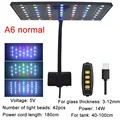 A6 normal