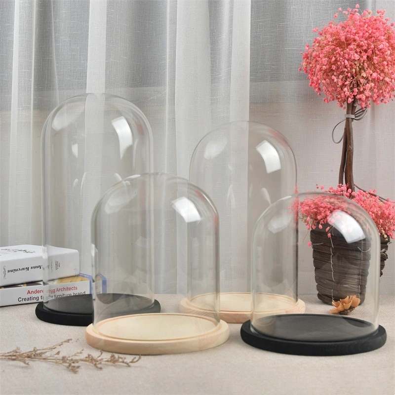 Dome w/dish snail and leaf diam 20 cm