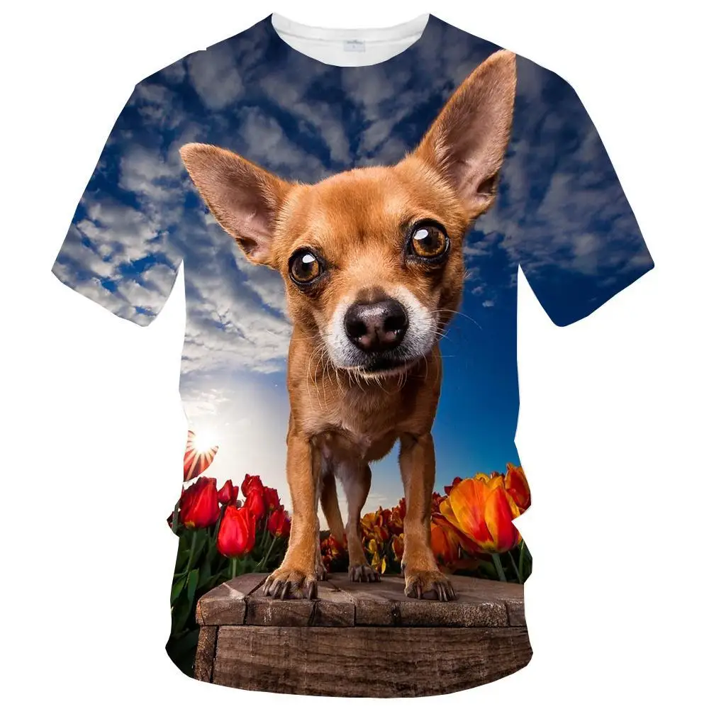 

New Funny Cute Animal Welsh Corgi 3d Print Men's Women's Children's Short Sleeve Breathable Lightweight Summer Sports Top
