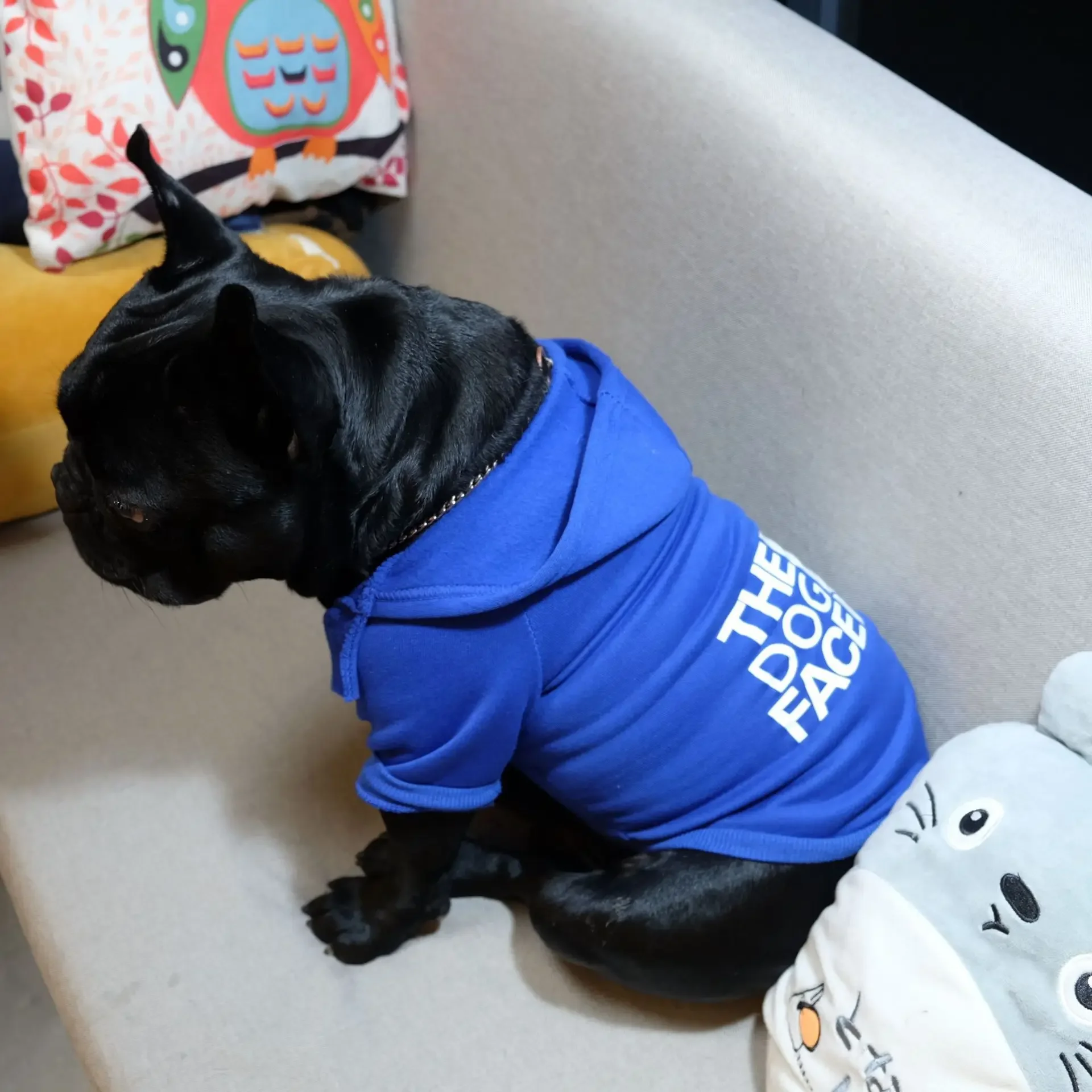 Autumn Winter Dog Hoodie 3
