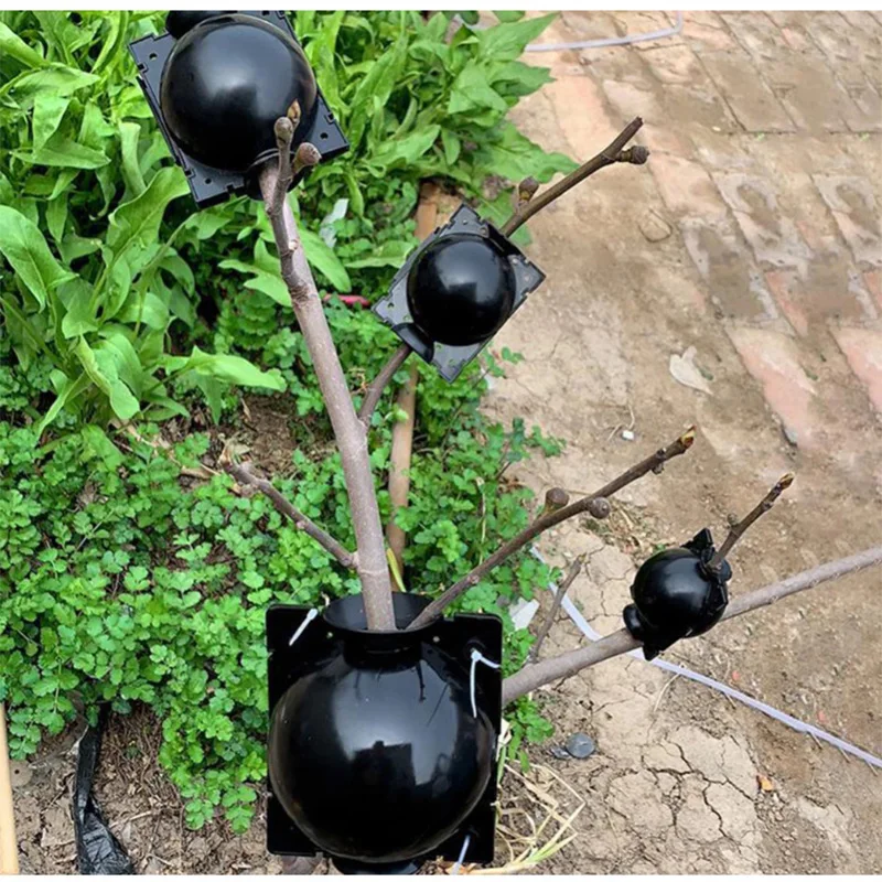 10Pcs Plant Rooting Ball Propagation Rooting Box Reusable Plant Root Growing Box Cuttings Grafting Propagation Pots