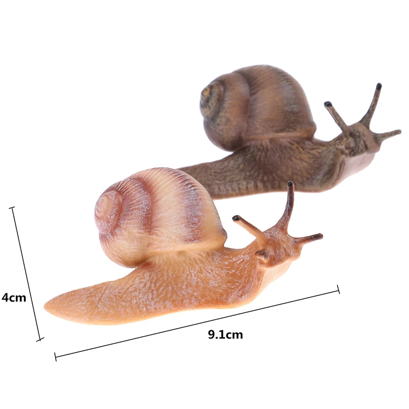 Simulation animal insect model mini animal snail growth cycle ornament 2