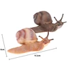 Simulation animal insect model mini animal snail growth cycle ornament 2