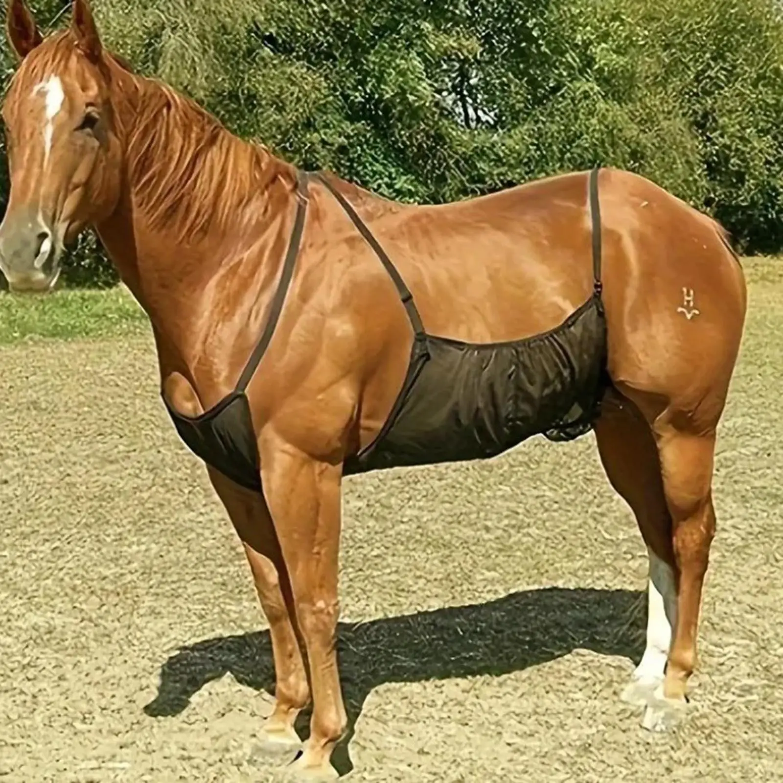 Horse Fly Sheet Belly Guard Summer Coverage Comfortable Pet Supplies Wrap