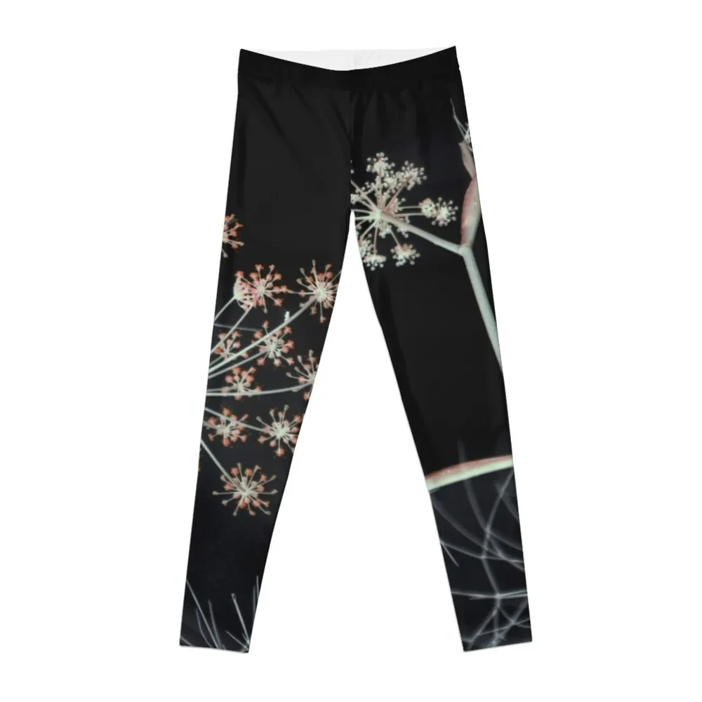 

Night Whispers. Dark Floral Leggings Sports pants for sport legging exercise clothing for Womens Leggings