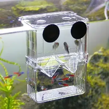Aquarium Breeding Isolation Box 1