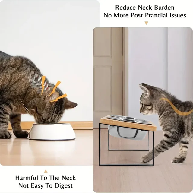 15° tilted heightened pet bowl heightened dog bowl with stainless steel food bowl feeder suitable for cats and puppies 2