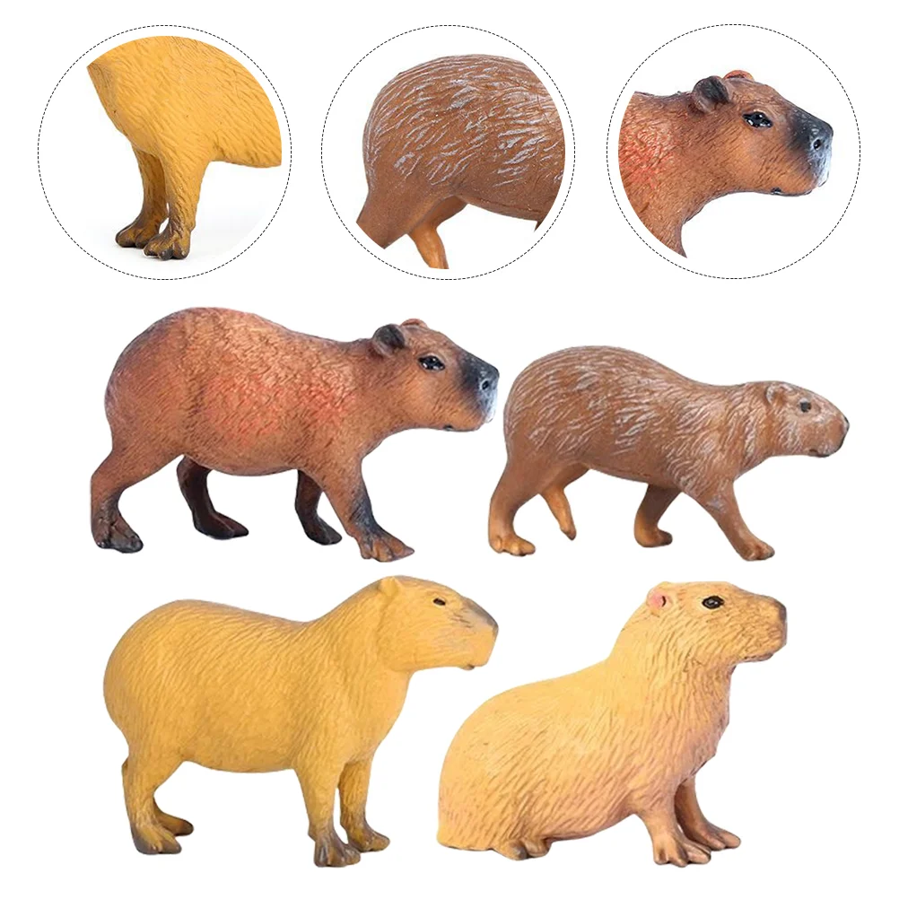 �ùķ��̼� ī�ǹٶ� ���� ��� ī�ǹٶ� ������ ���� ����, �� ��ȣ �峭�� ����, ������ �ǱԾ�, 4 ��