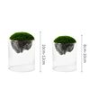 Clear Glass Cylinder Vases,Plant Vase for Rustic Home Decor Formal Dinners Party Event Hurricane 2