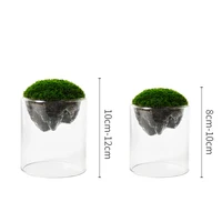 Clear Glass Cylinder Vases,Plant Vase for Rustic Home Decor Formal Dinners Party Event Hurricane 2