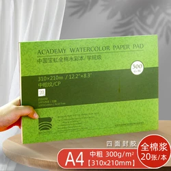 Baohong Academy Premium Watercolor Pad - 20 Sheets of Acid - Free Paper (A4 310x210mm CP)