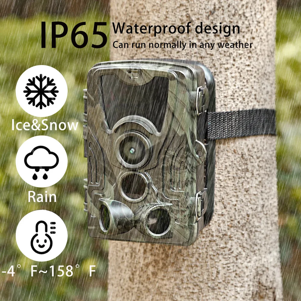 Hunting Trail Camera Suntekcam-Waterproof Night Vision Hunting Camera Wildlife Photo Trap 24MP 1080P IP65 HC801A
