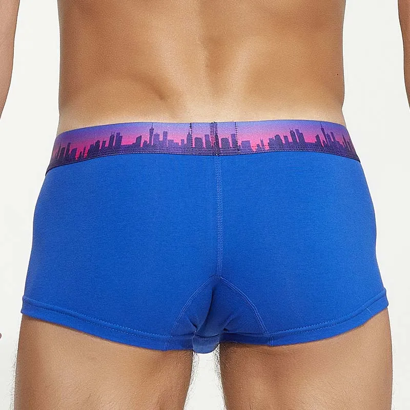 YWSNHMY Underwear Men's Boxers Breathable Cotton Boxer Shorts Sexy Bulge Penis Pouch Slips Homme Panties Low-rise Male Lingerie 2