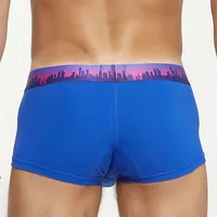 YWSNHMY Underwear Men's Boxers Breathable Cotton Boxer Shorts Sexy Bulge Penis Pouch Slips Homme Panties Low-rise Male Lingerie 2