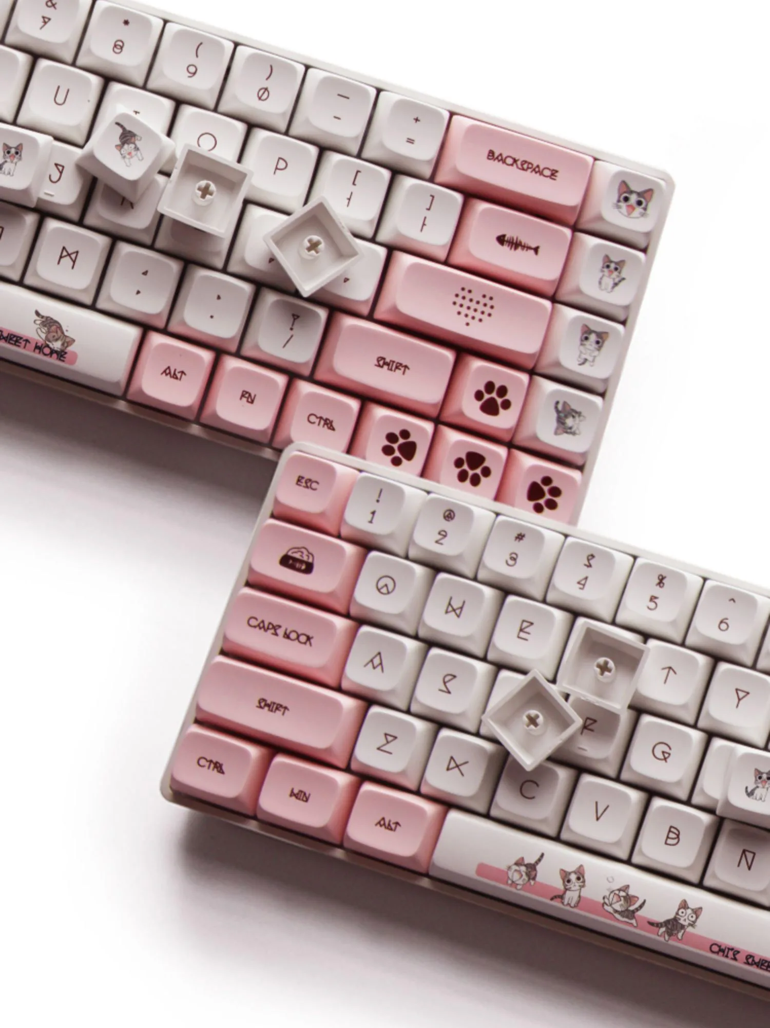 teclados e mouses