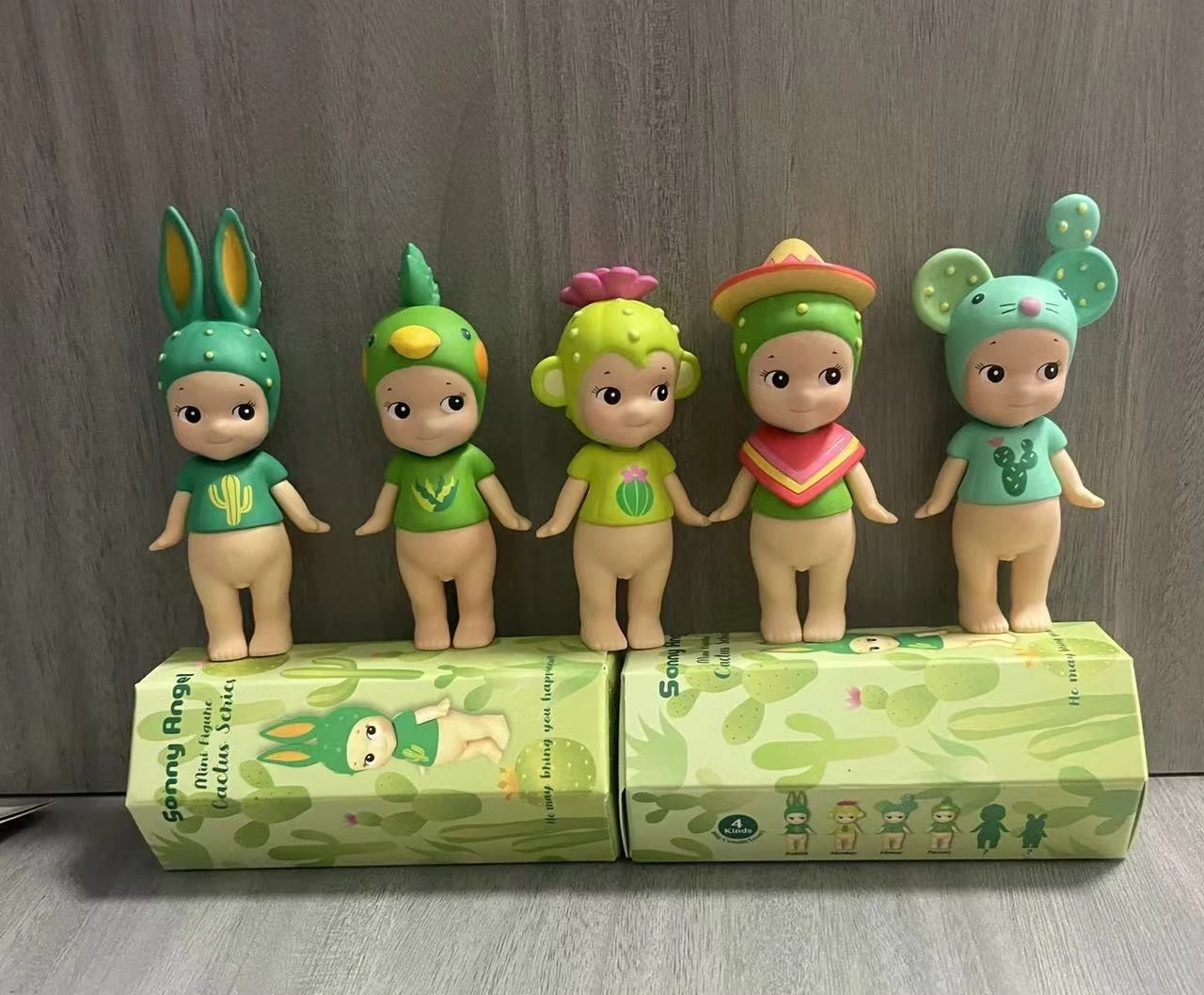Sonny Angel Cactus Series Limited Edition Mini Figures Model
