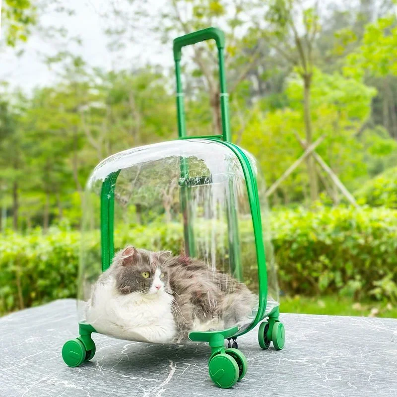 

Pet Trolley Case Transparent Cat Bag Out Portable Large Capacity Space Capsule Dog Cat Backpack Portable Suitcase Cat Carrier