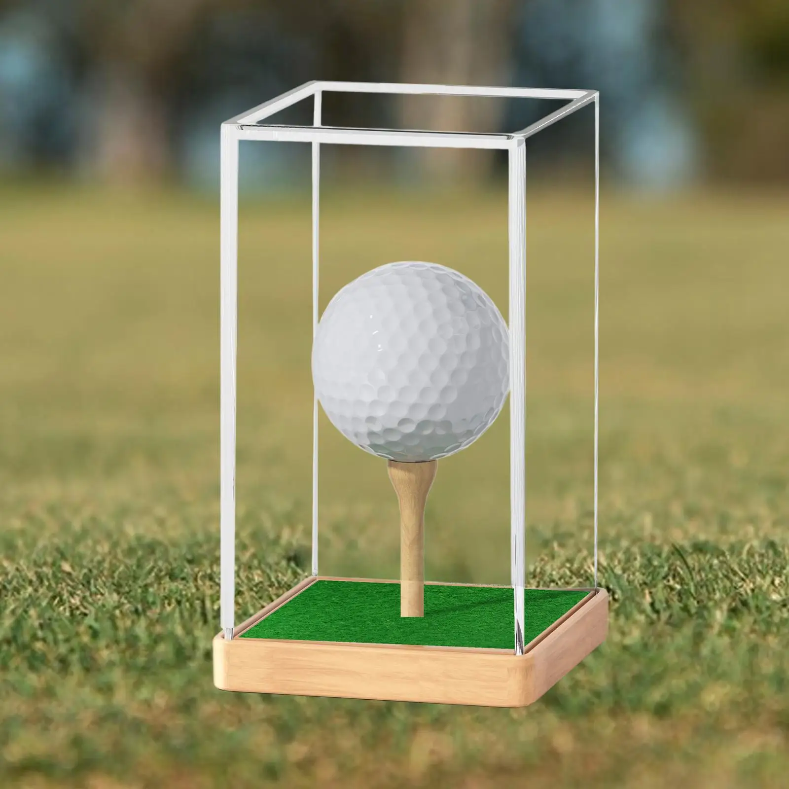 Golf Ball Display Box Multiuse Storage Box for Earphone Small Toys Baseball