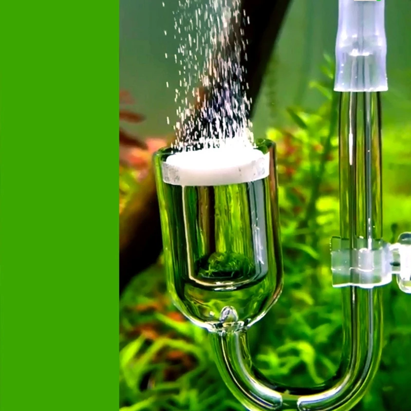 CO2-Generato mit Saugnapf für Wasser pflanzen wachstum Aquarium CO2-Diffusor  Aquarium Blasen zerstäuber Silber - AliExpress