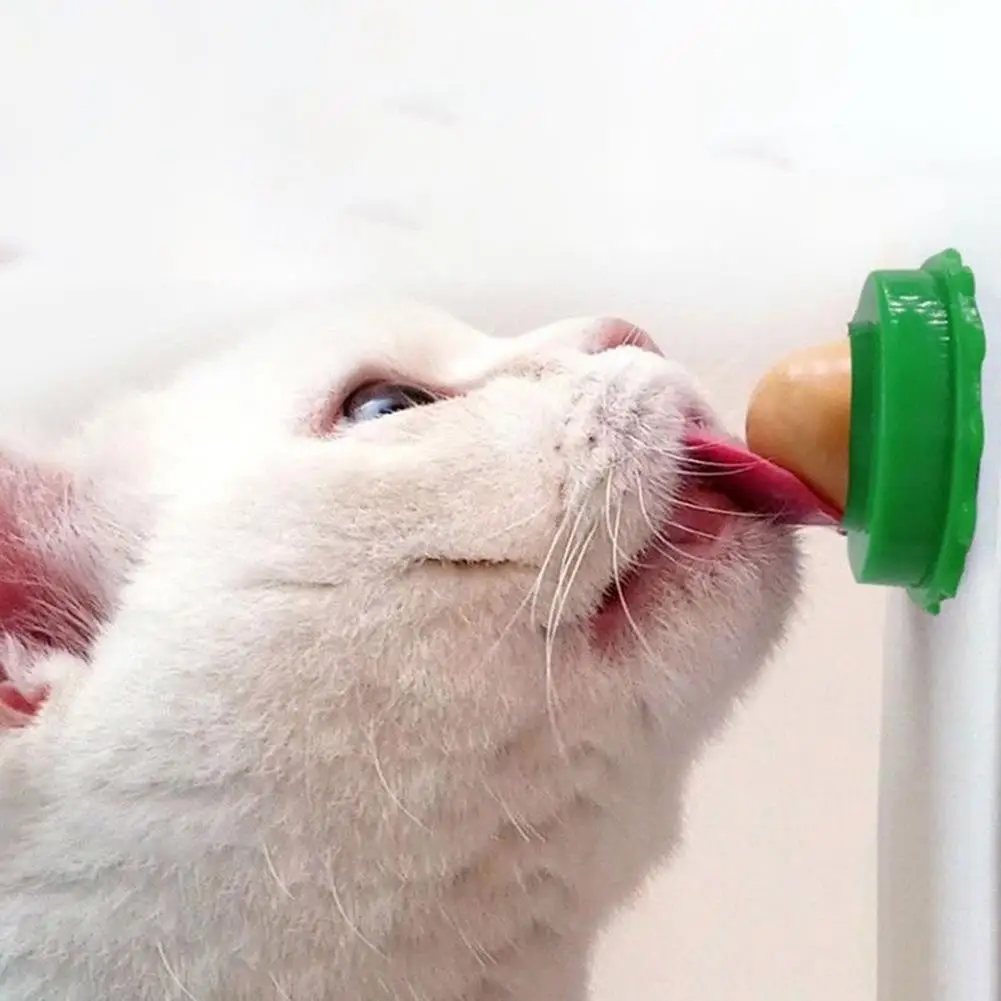 Healthy Cat Snacks Catnip Sugar Candy Licking Energy Nutrition Toys Ball