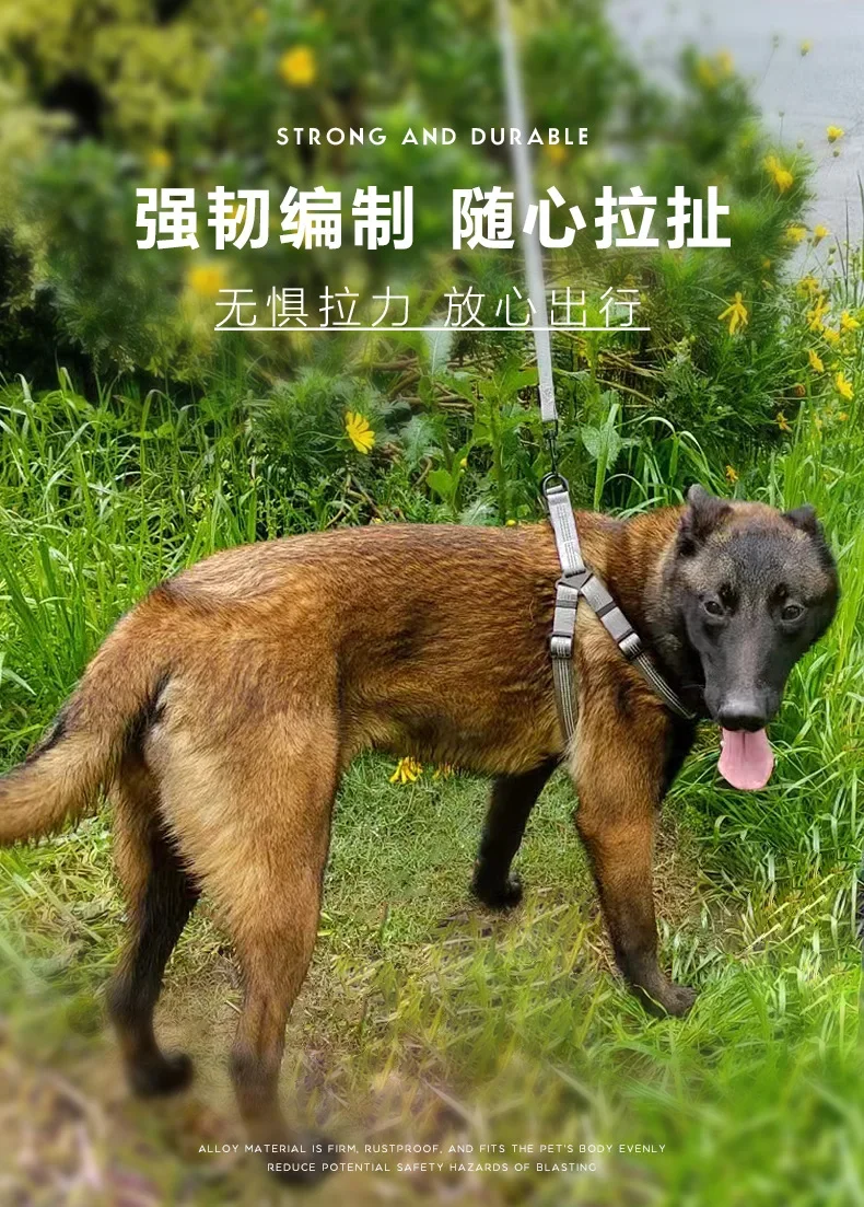 https://ae01.alicdn.com/kf/S59a4c483abd7472e9d1b948d571d5a18N.jpg?width=790&height=1103&hash=1893